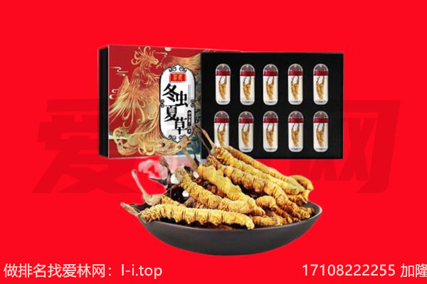 普洱景谷县回收虫草.jpg